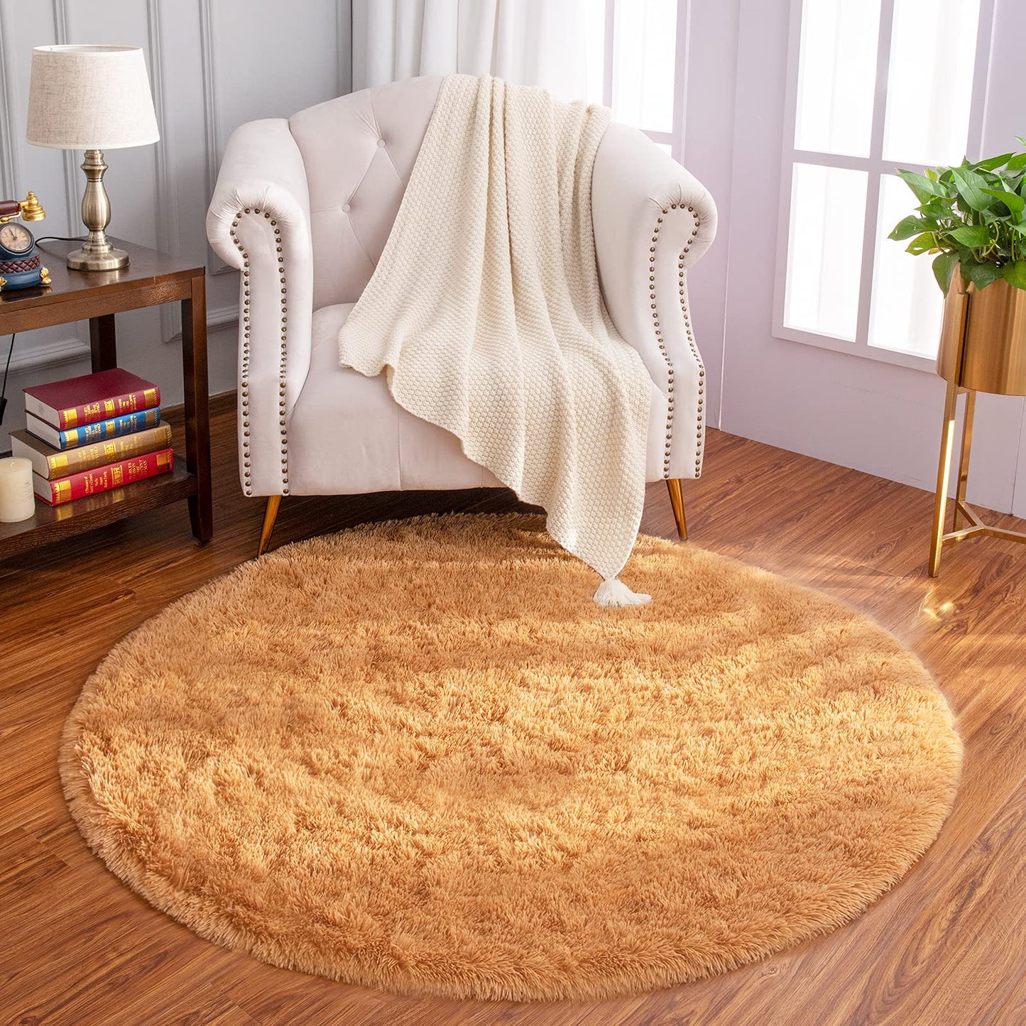 Luxury Round Fluffy Area Rugs 4x4 Feet Super Soft Circle Rug | Egoodhome™
