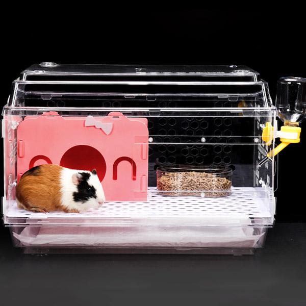 Guinea Pig Cage