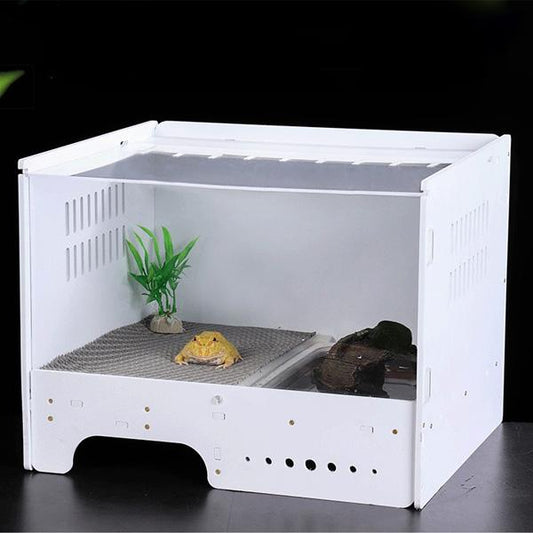 Horned frog amphibious terrarium