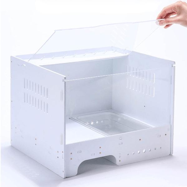 Horned frog amphibious terrarium