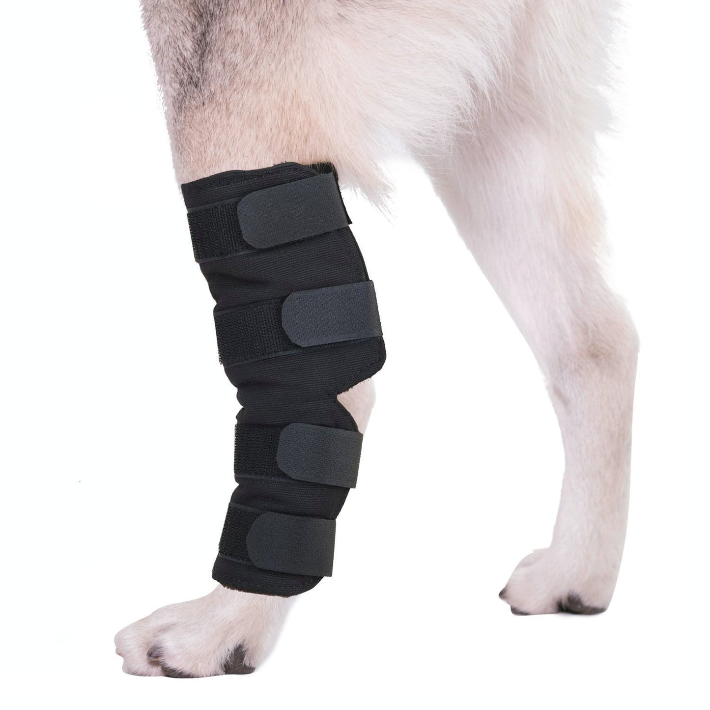 Hoison Canine Dog Hock Brace Rear Leg Joint Wrap Protects Wounds as They Heal