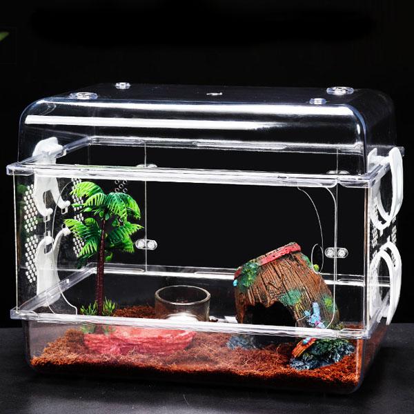 Acrylic Crawler Terrarium