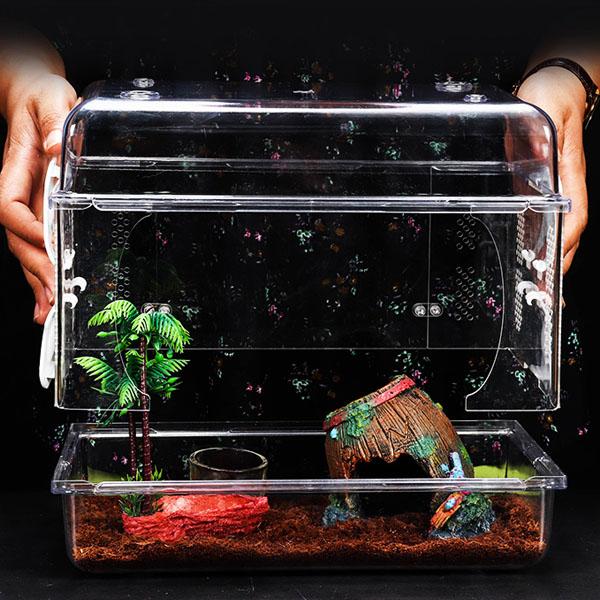Acrylic Crawler Terrarium