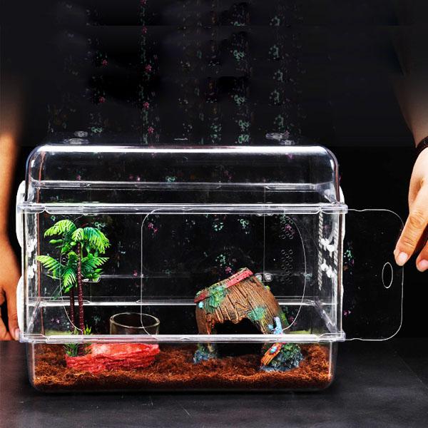 Acrylic Crawler Terrarium