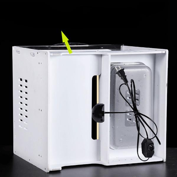 Horned frog amphibious terrarium