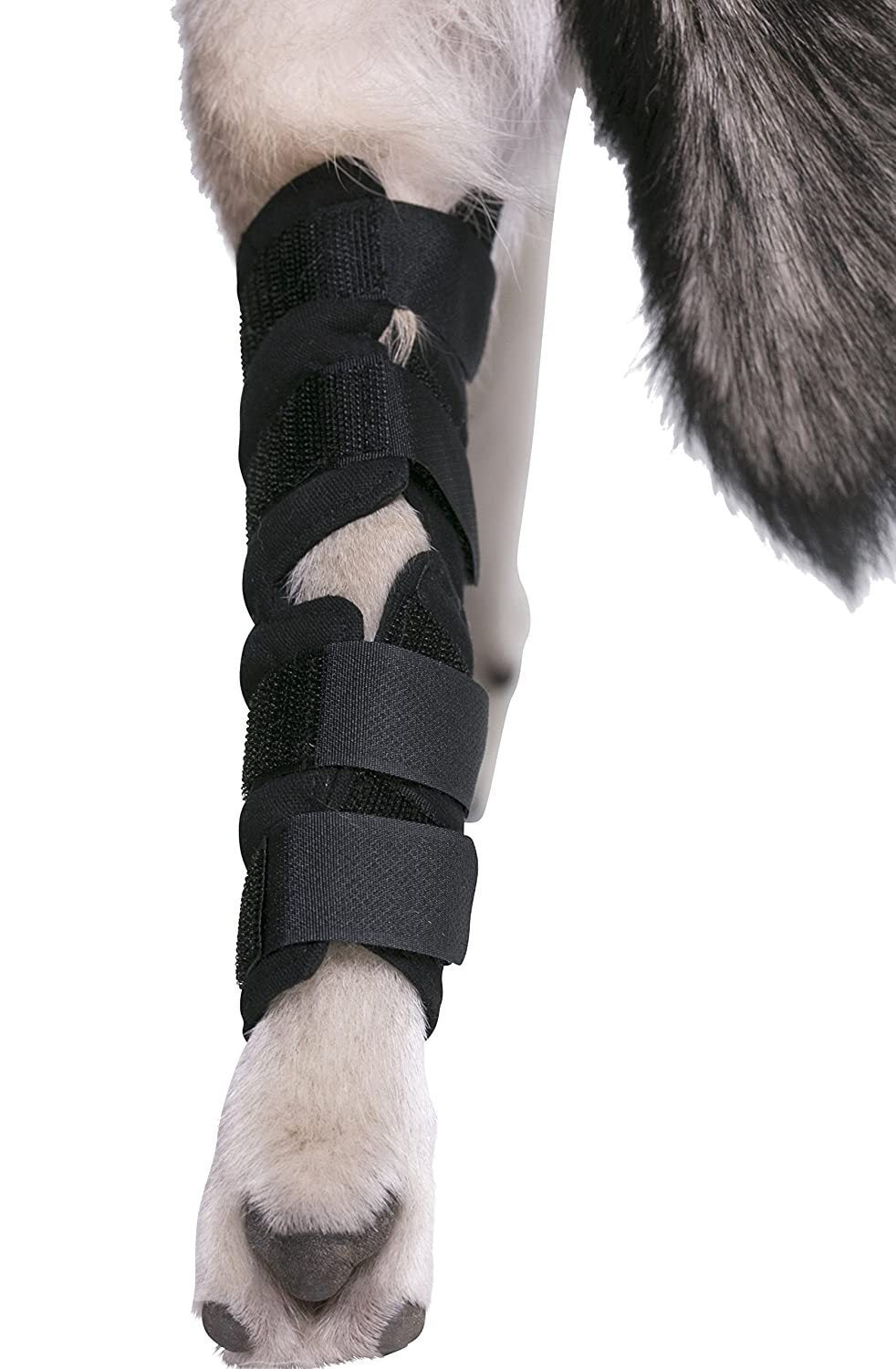Hoison Canine Dog Hock Brace Rear Leg Joint Wrap Protects Wounds as They Heal