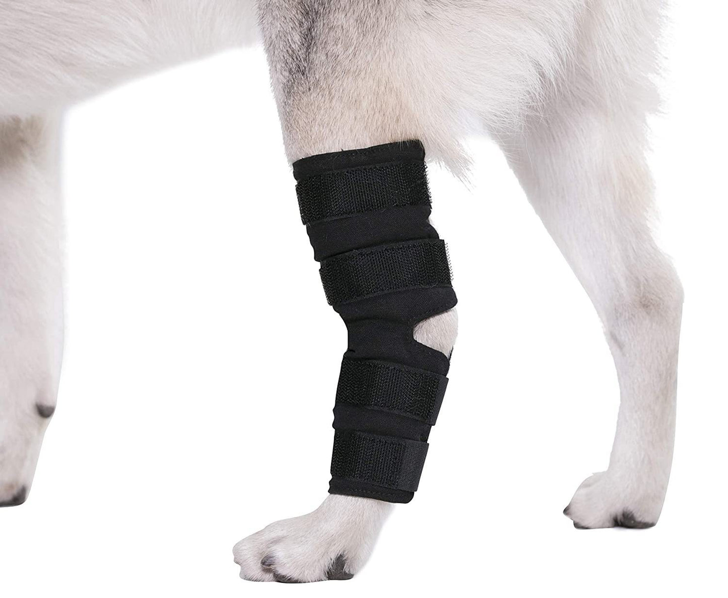 Hoison Canine Dog Hock Brace Rear Leg Joint Wrap Protects Wounds as They Heal