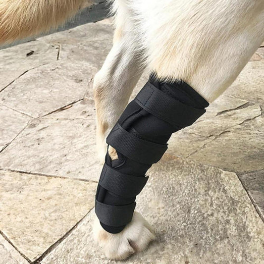 Hoison Canine Dog Hock Brace Rear Leg Joint Wrap Protects Wounds as They Heal
