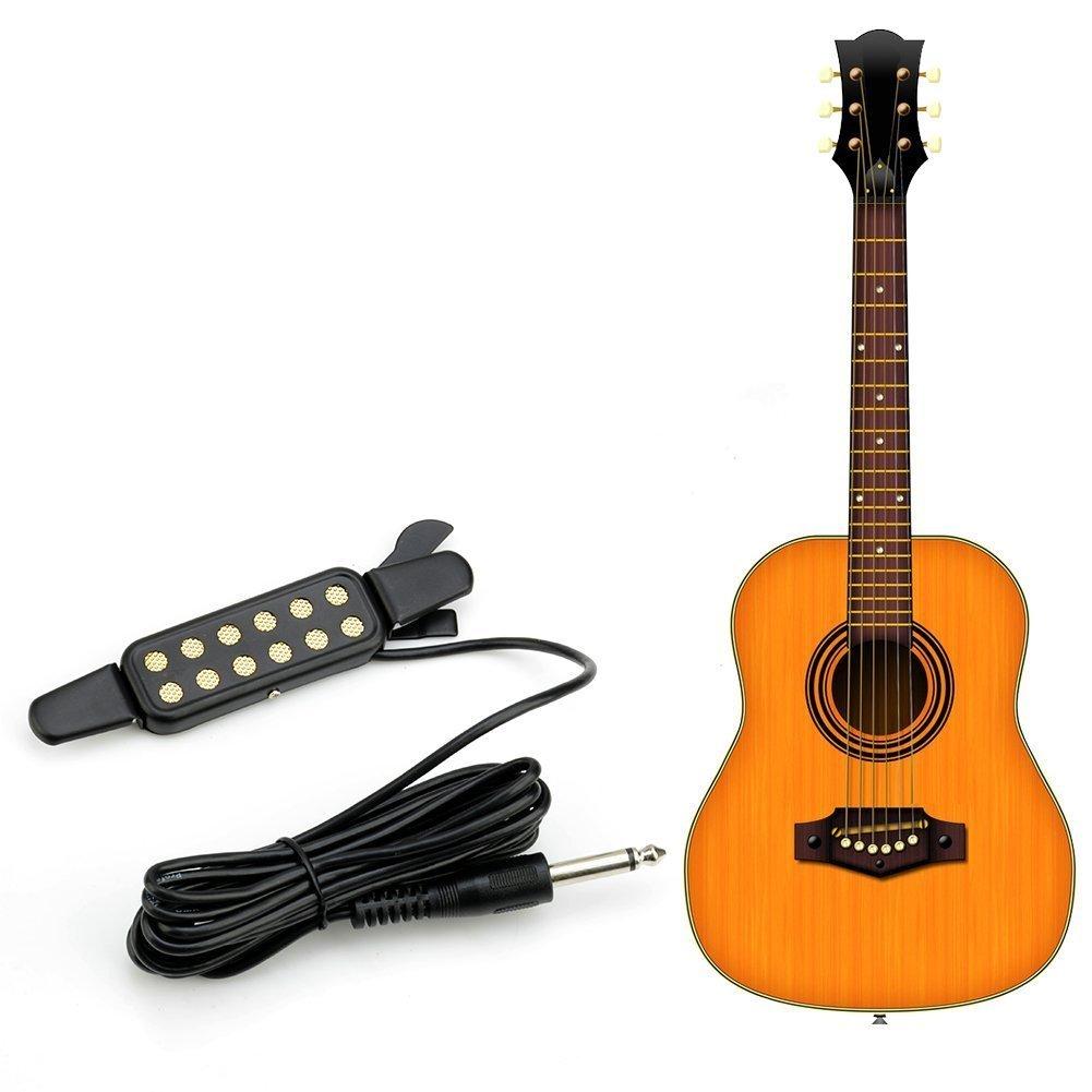 12 Hole Sound Pickup