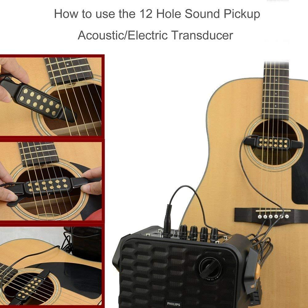 12 Hole Sound Pickup