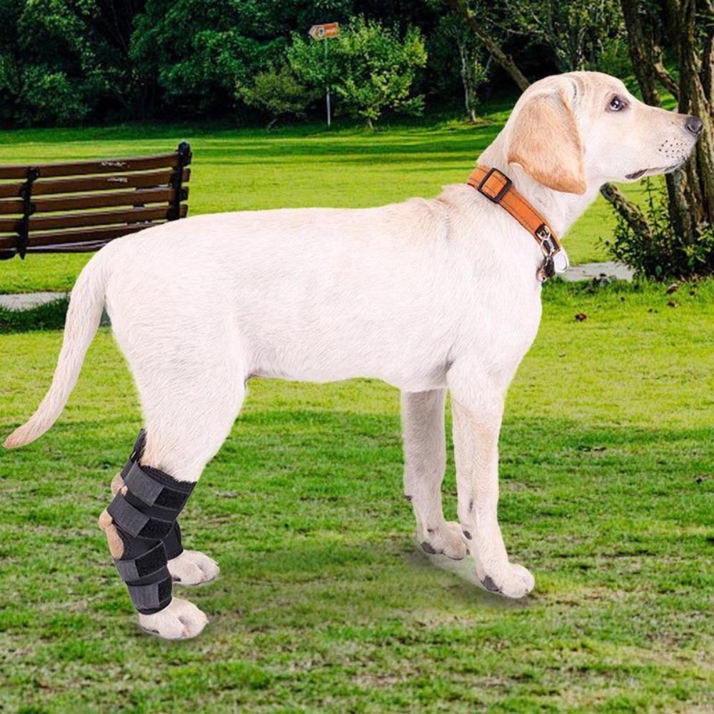 Hoison Canine Dog Hock Brace Rear Leg Joint Wrap Protects Wounds as They Heal