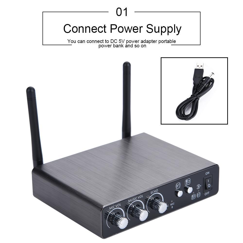 Dual Wireless Bluetooth Karaoke Handheld Microphone Various Frequency with Receiver Box