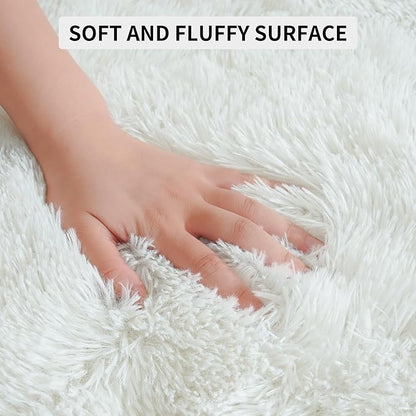 EGOODHOME Large Soft Fluffy  Modern Rug | Egoodhome™