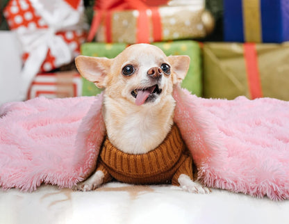 EGOODHOME Medium Dog Blanket for Couch Bed | Egoodhome™