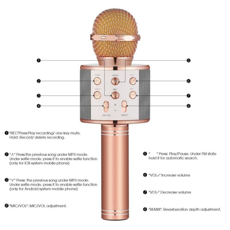 Wireless Bluetooth Karaoke Handheld Microphone USB KTV Player Speaker Record Music