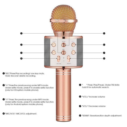 Wireless Bluetooth Karaoke Handheld Microphone USB KTV Player Speaker Record Music