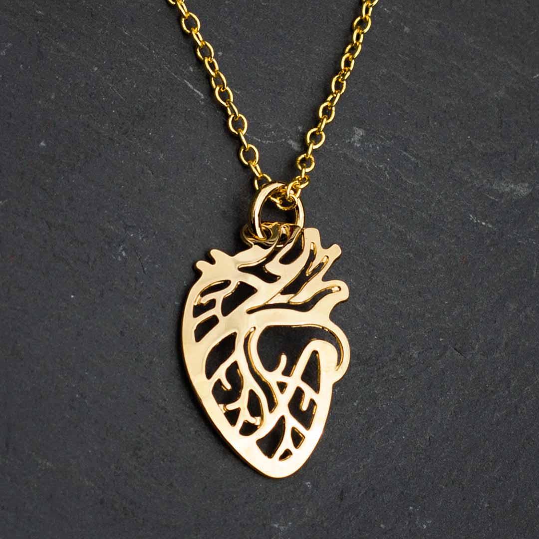 Anatomical Heart Necklace - science jewelry that makes great gifts for students and teachers in biology and medicine.